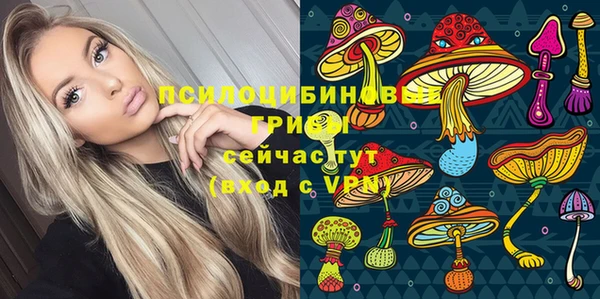 apvp Верхний Тагил