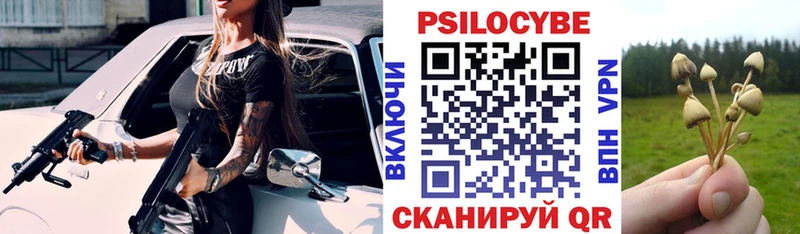 Псилоцибиновые грибы Psilocybine cubensis  Купить закладки  Ступино 